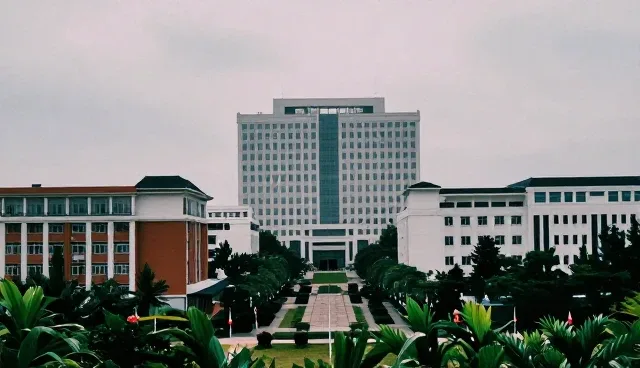 宁波网站建设公司如何应对技术外包难点,提升项目交付效率