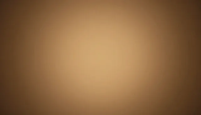 东莞服务器托管选型需结合业务规模与成本控制