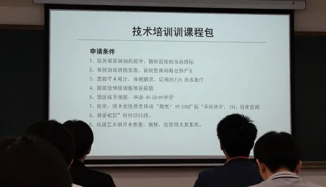 风水网站适用情况与限制分析