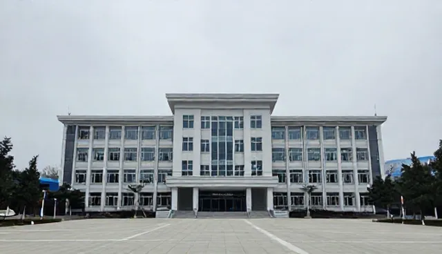 网站设计东莞：两种做法的比较与实际取舍