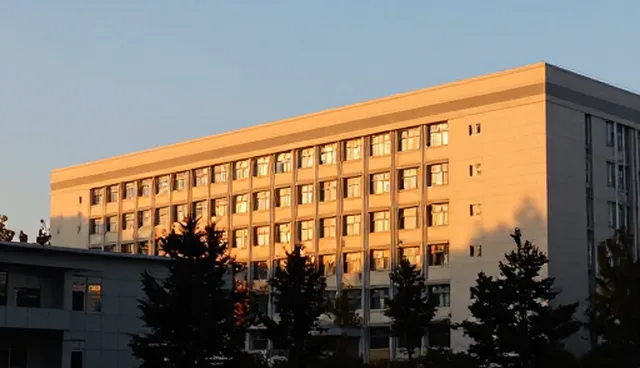 重庆网站建设常见误区:技术外包服务需规避哪些陷阱
