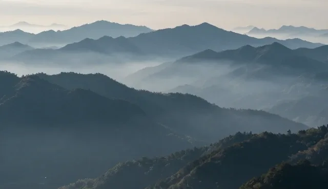 网站标志设计在实际应用中面临哪些挑战