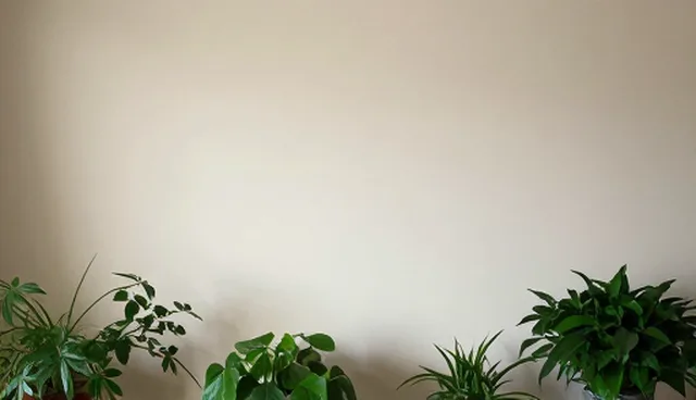 西安网站设计公司如何应对响应较为的问题?