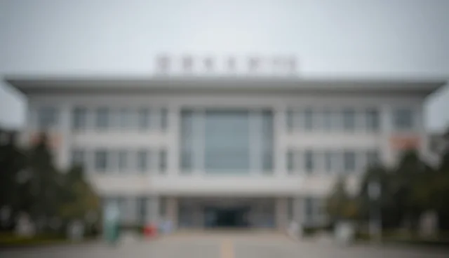 技术转让：新城网技术外包服务的实施要点分析