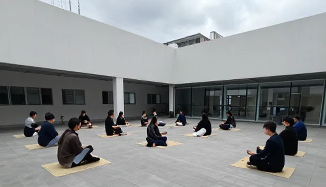 柚子皮可以去除甲醛吗?如何科学应对家居污染