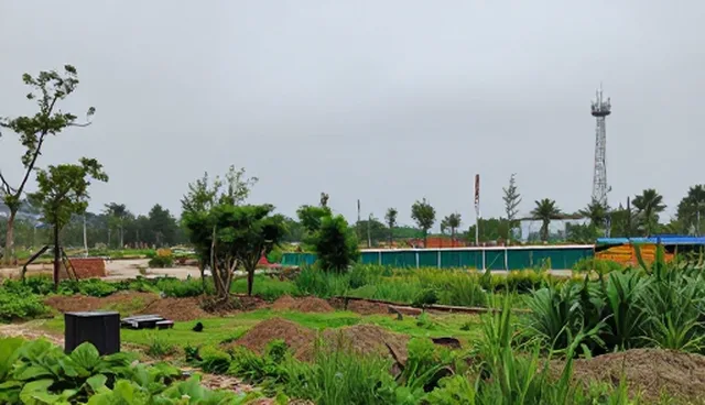 黄石网站建设的检查要点与优化策略
