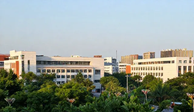 东莞网站制作公司选型与使用建议