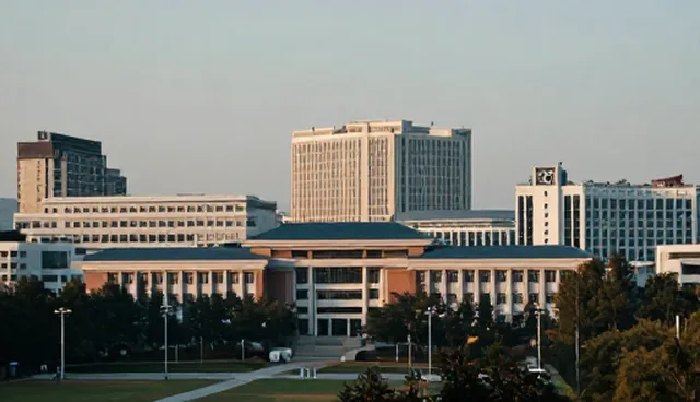 株洲网站建设的适用条件与选择依据
