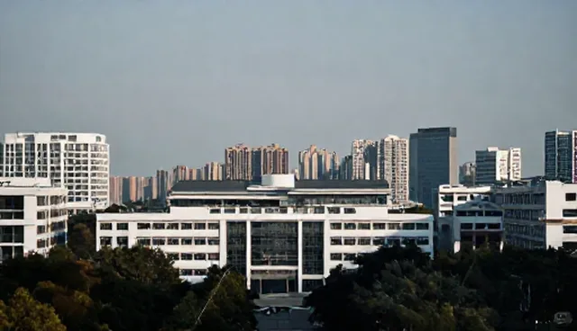 广东网站建设公司排名误区澄清与实际问题分析