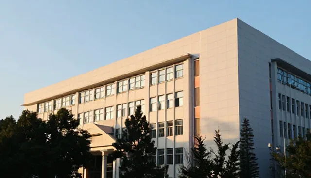 天蝎网站建设中如何避免常见陷阱?