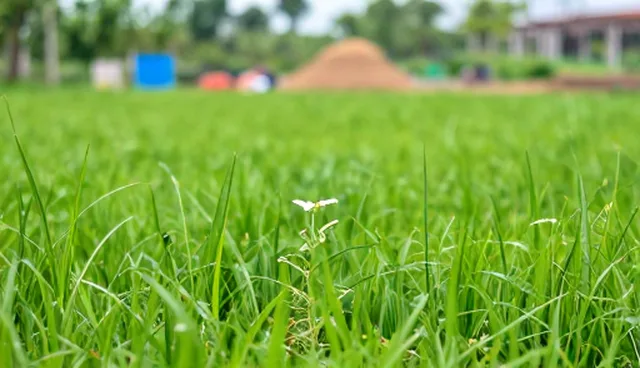 网页设计公司如何通过检查要点提升网站优化效果